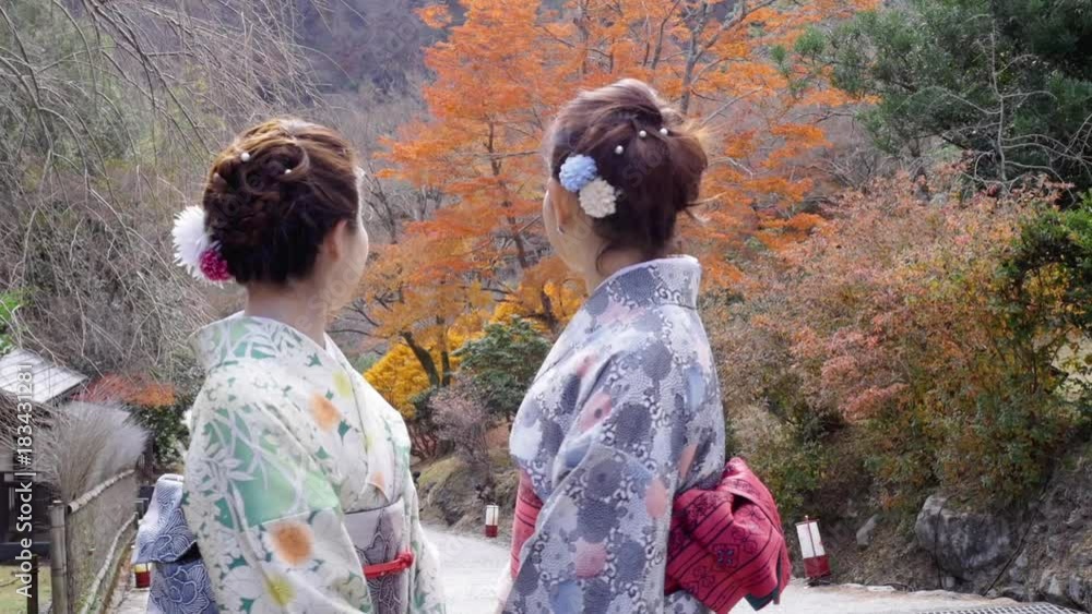 Beautiful young Japanese women turn to smile at camera. Beautiful young Japanese women turn to smile at camera.