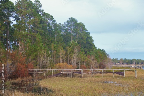 Lake view with trees & broken dock NW Florida
