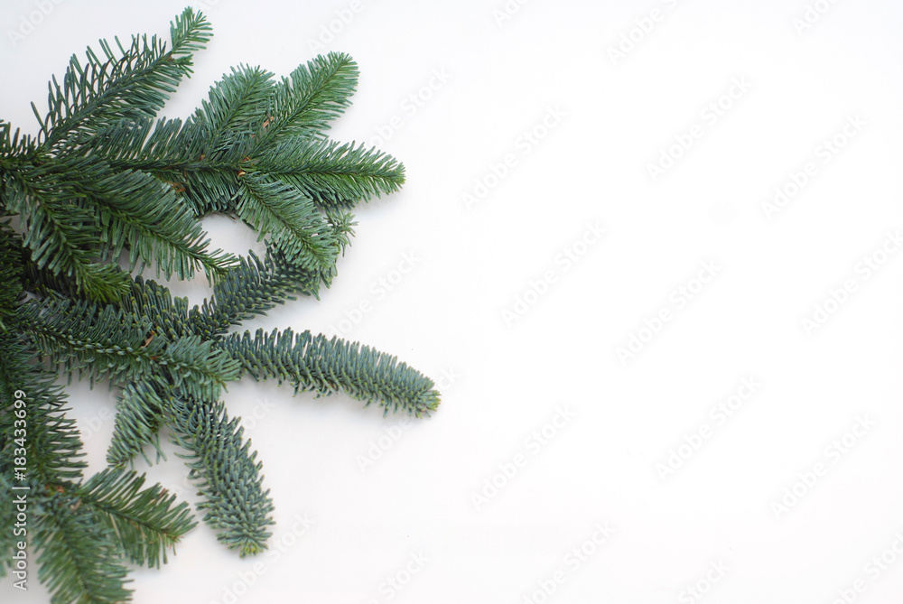 Evergreen Fir Branches Isolated on White Background with Copy Paste. Evergreen Fir Branches Isolated on White Background with Copy Paste.