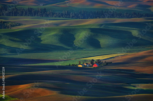 Palouse Washington from Steptoe Butte