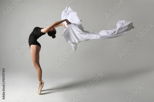 Talented Ballet Dancer in Studio on White Background