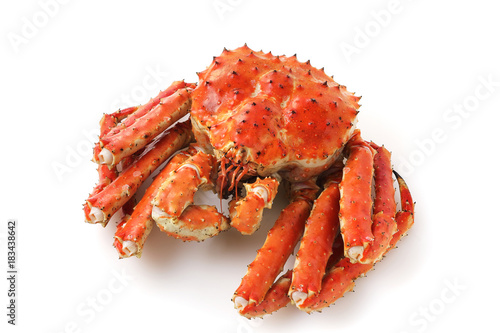 たらばがに　Red king crab