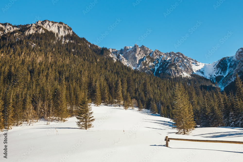 winter in the Tatra Mountains, Koscieliska Valley