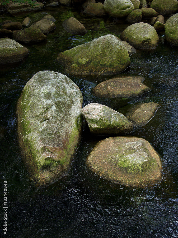 Close-up view of stones in the river. River White Elbe, Giant Mountains, Czech Republic. Close-up view of stones in the river. River White Elbe, Giant Mountains, Czech Republic.