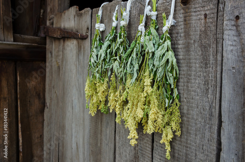 Bunches of dried herbs for herbal tea on old wooden gate background