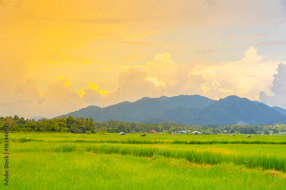 Green fields with stacks of mountains and evening sky behind. Green fields with stacks of mountains and evening sky behind.