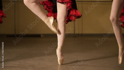 Wallpaper Mural Close up of a ballet dancer's feet as she practices point exercises Torontodigital.ca