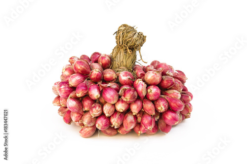 fresh shallots or onion, herb and vegetable, food ingredient