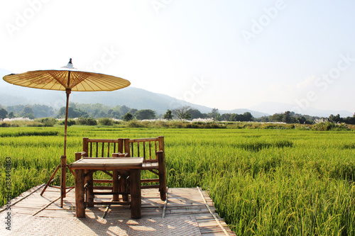 Rice field, beautiful green rice, abundant clear sky in Chiang Mai, Thailand.