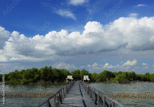 Wooden bridge for the walk to the sea. Bang Khun Thian, Bangkok. photo