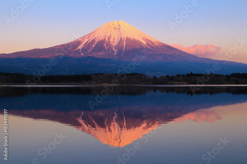 Fototapeta Naklejka Na Ścianę i Meble -  田貫湖と富士山