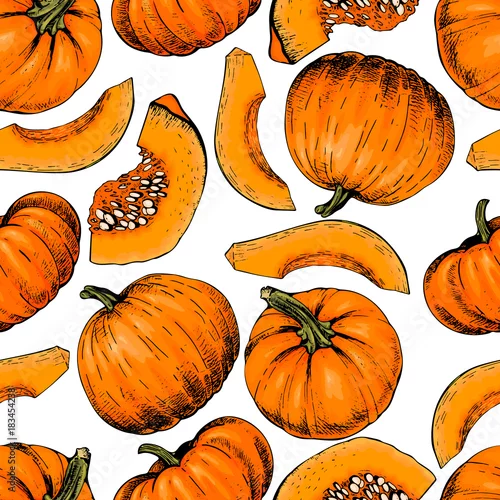 Tapety Wektorowa ręka rysujący bezszwowy wzór banie. Warzywa Rolne Grawerowane kolorowe sztuki. Organiczny szkicowany obiekt. restauracja, menu, sklep spożywczy, impreza w sklepie spożywczym. Święto Dziękczynienia, Halloween