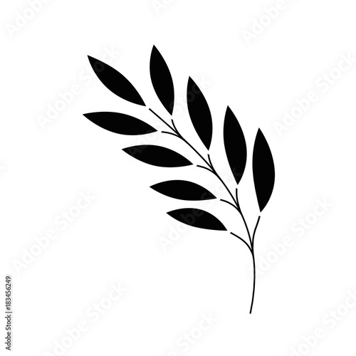 olive branch isolated icon vector illustration design