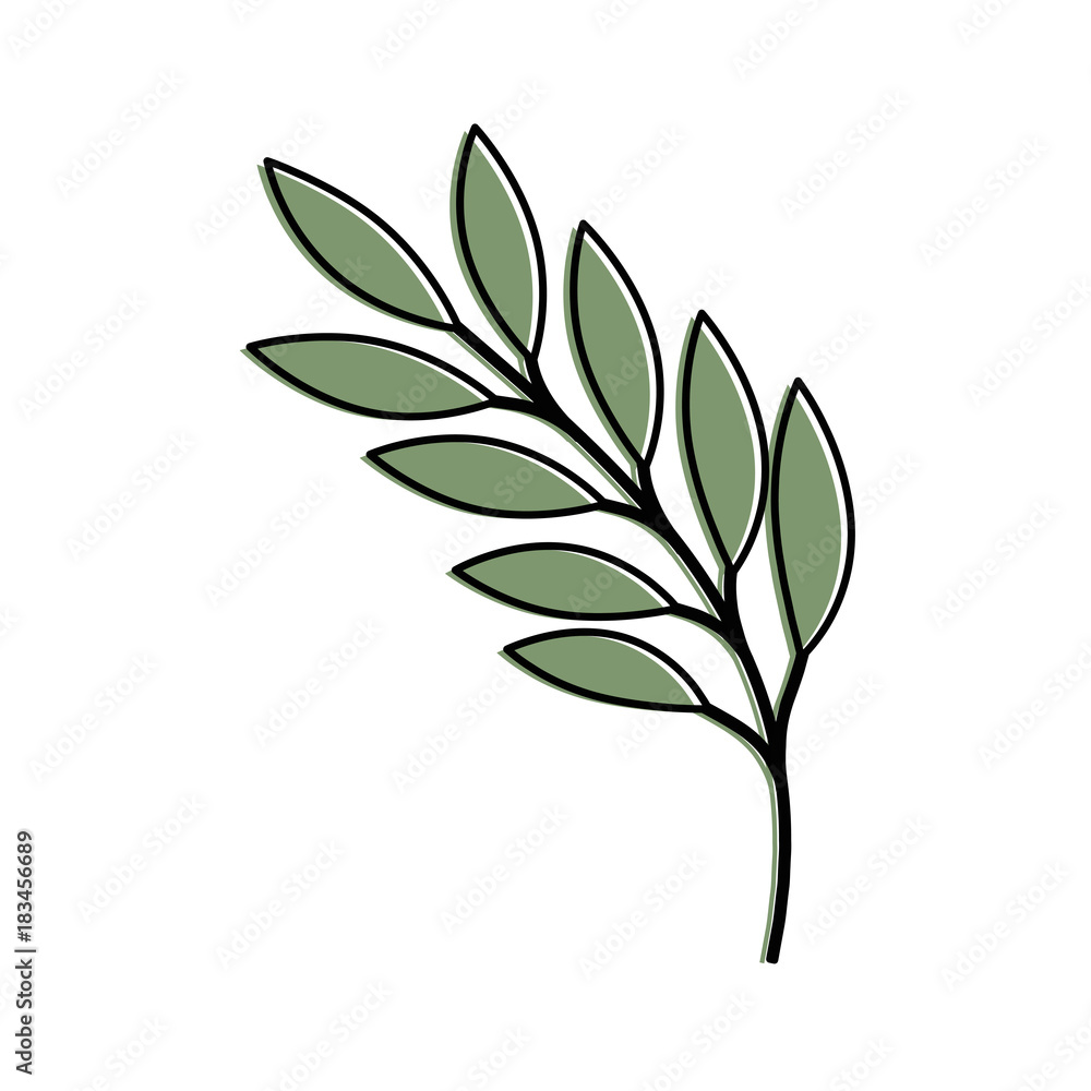 olive branch isolated icon vector illustration design olive branch isolated icon vector illustration design