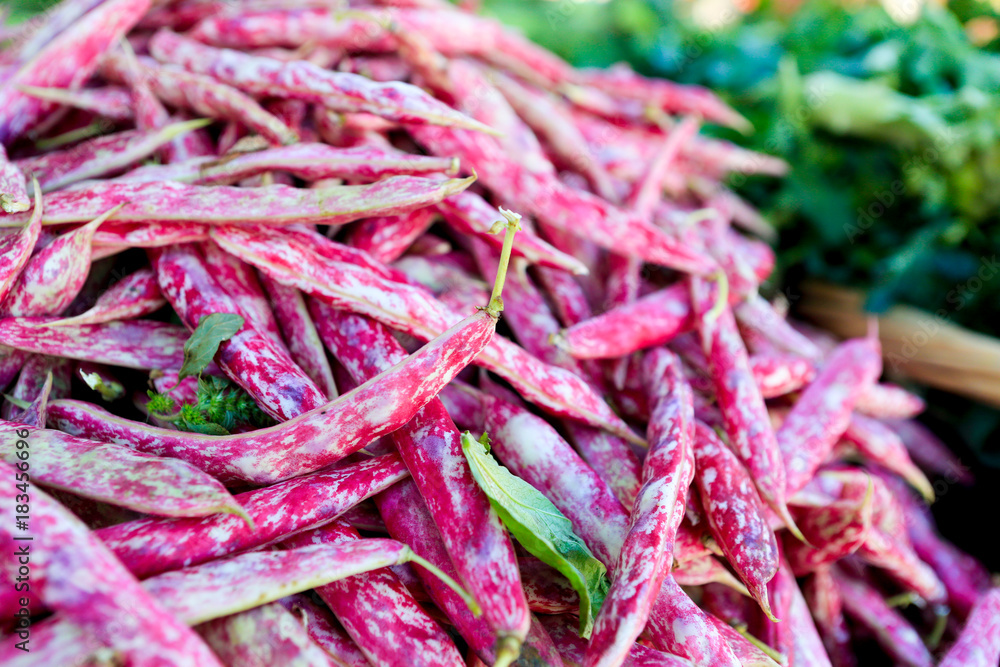 Red and purple Borlotti beans at a Farmer's Market Red and purple Borlotti beans at a Farmer's Market