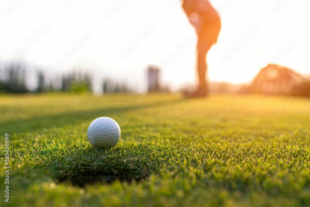 land bout Zakje Fotorolgordijn Golfer aziatische vrouw die golfbal op de groene golf zet op  de avondtijd van de zonsondergang, selecteer focus. Gezond en  levensstijlconcept. - Nikkel-Art.nl