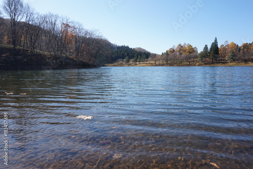 水辺の風景