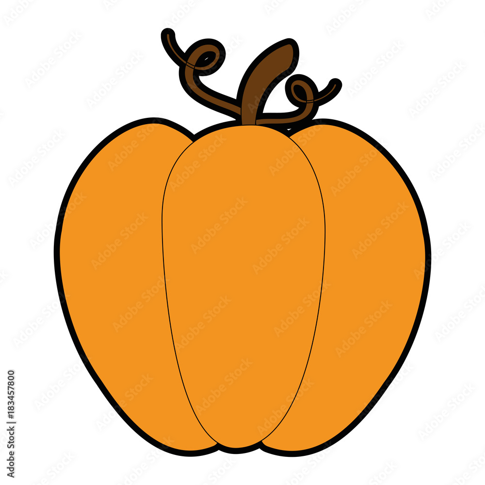 Obraz premium pumpkin fresh isolated icon vector illustration design