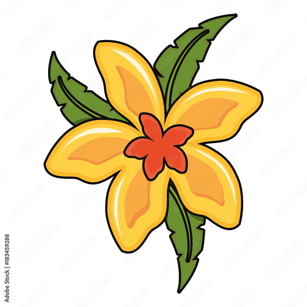 beautiful tropical flowers design beautiful tropical flowers design