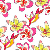 seamless pattern Hawaiian plumeria flower an exotic   illustration