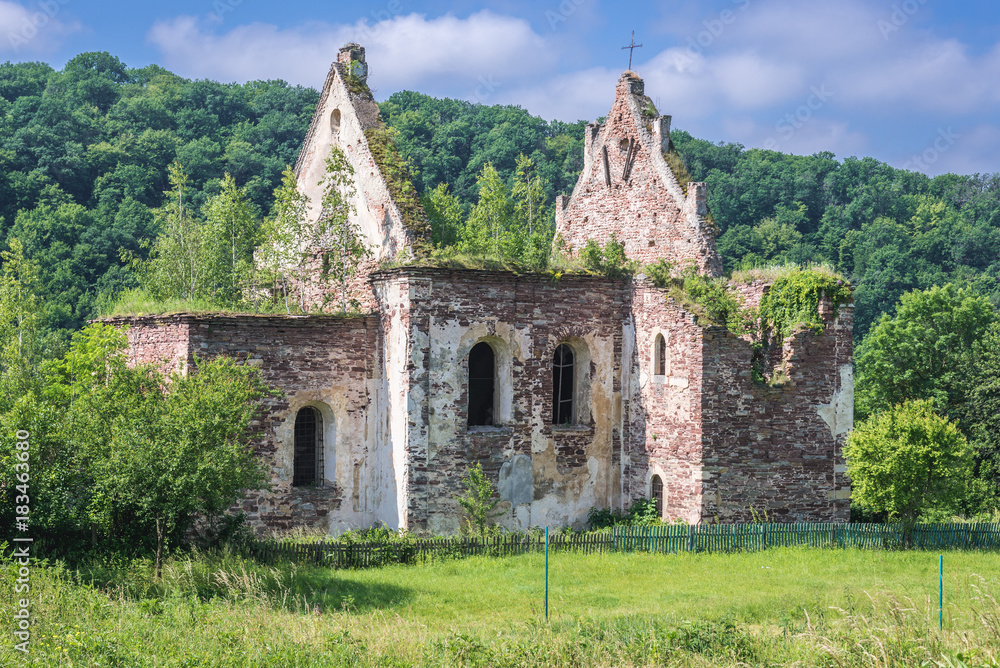 Ruins of Catholic Assumption Church next to remains of Chervonohorod Castle in Ukraine Ruins of Catholic Assumption Church next to remains of Chervonohorod Castle in Ukraine