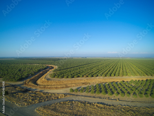 Beautiful aerial view of large almond orchard