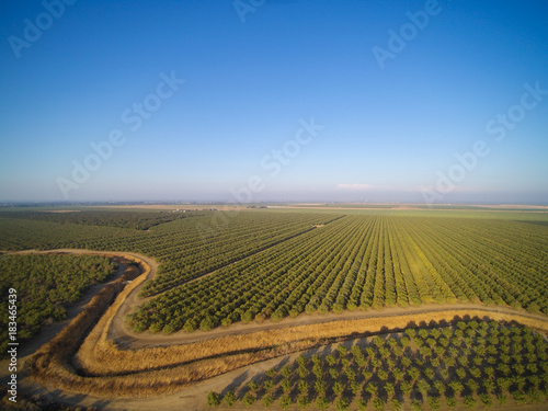 Obraz na plátne Beautiful aerial view of large almond orchard