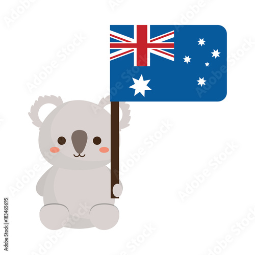 Photography Koalas and Australia design