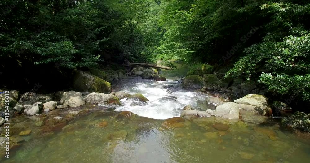 transparent river flows through rocks among trees transparent river flows through rocks among trees
