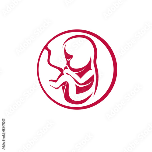 Human fetus hand-drawn vector illustration isolated on white. New life conceptual symbol.
