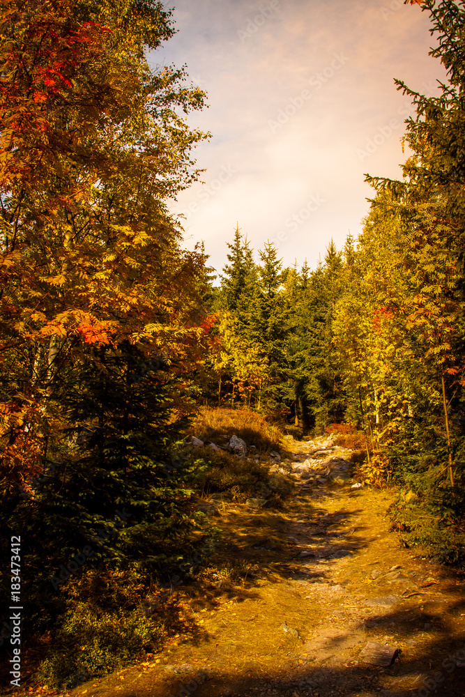 Fototapeta premium Krkonose National Park, the highest mountain in the Czech Republic