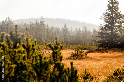 Krkonose National Park  the highest mountain in the Czech Republic