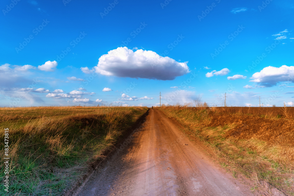 A dirt road leaving into the distance and a white cloud in the sky
