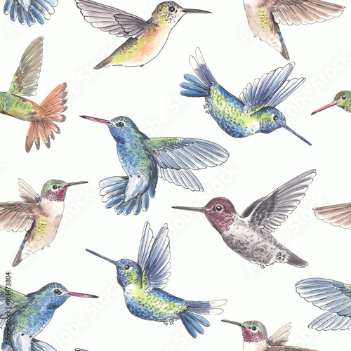 Hummingbirds watercolor pattern