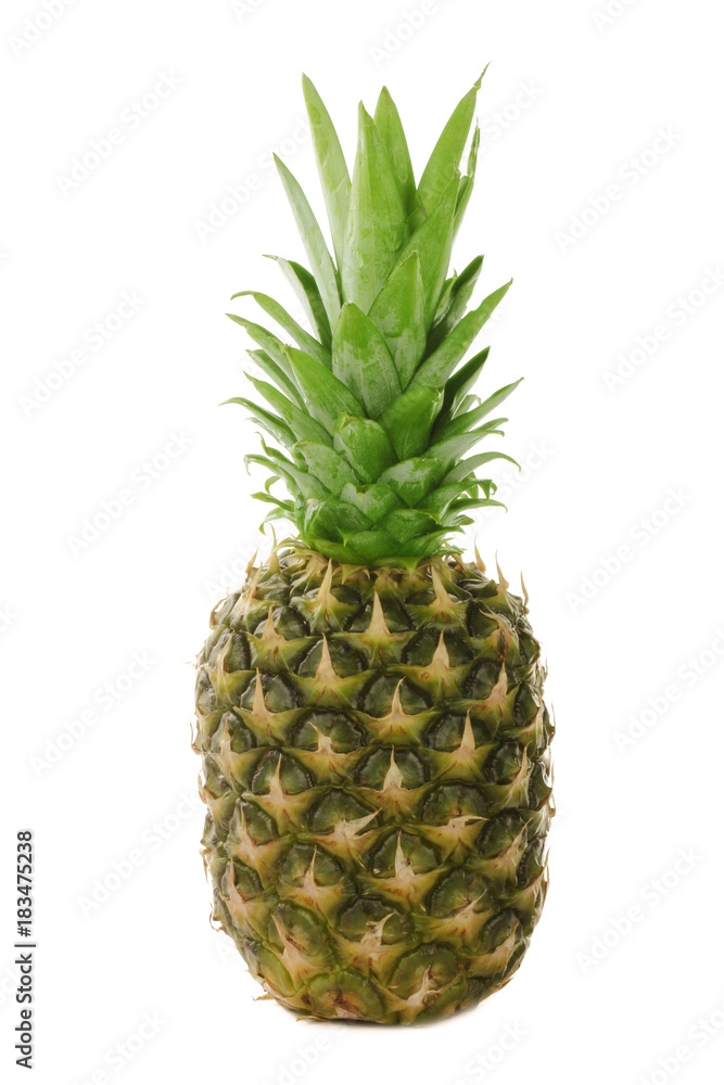 pineapple isolated pineapple isolated