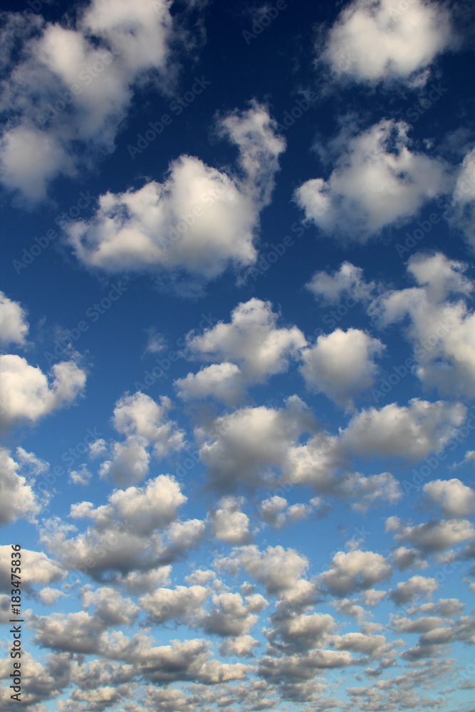 Fototapeta premium Altoculumus clouds against deep blue sky
