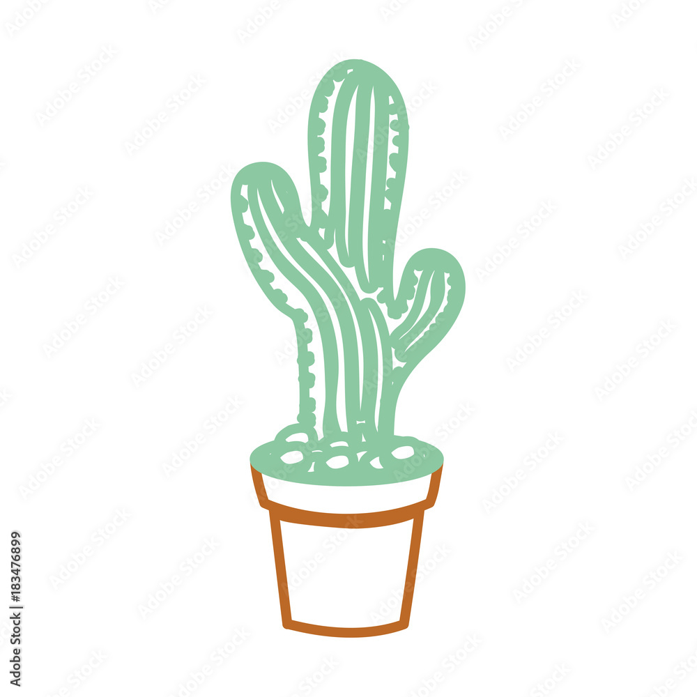 cartoon cactus in a pot cartoon cactus in a pot