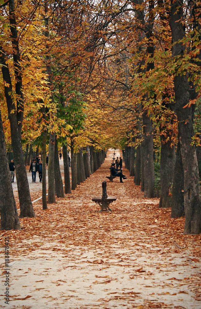 Park with autumnal colors, Madrid