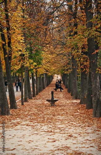 Park with autumnal colors  Madrid