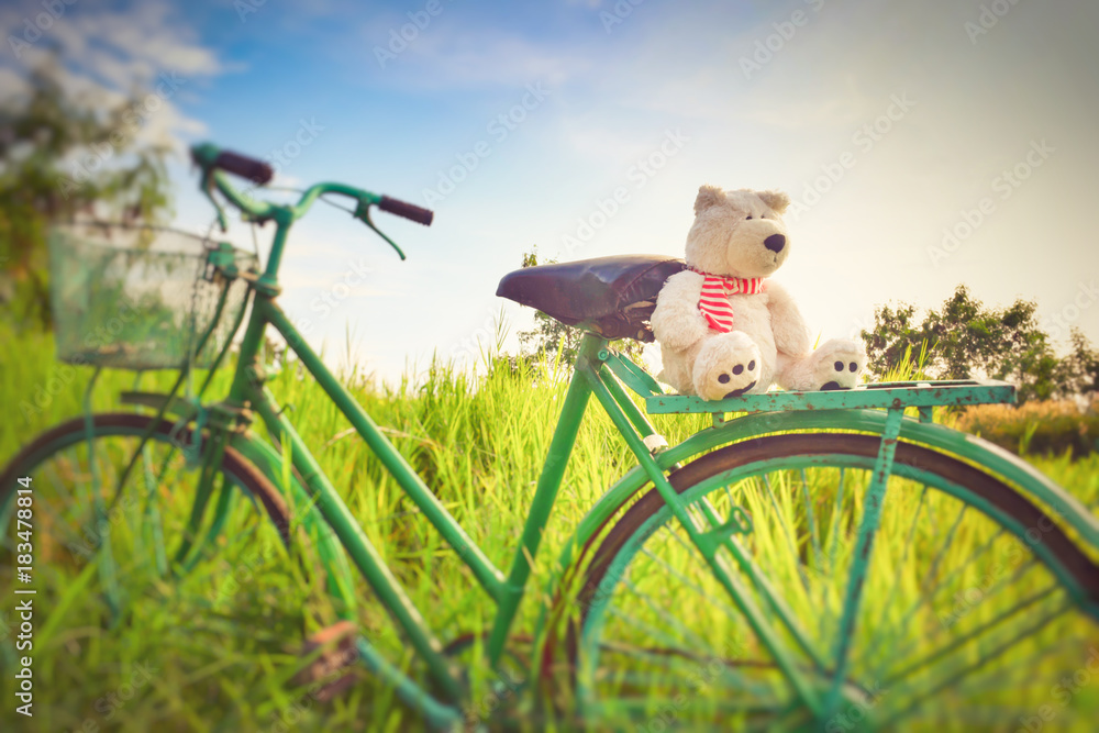 doll teddy bear on bike in field