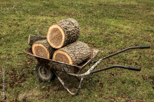 Used garden wheelbarrow loaded with oak tree stumps on grass meadow background photo