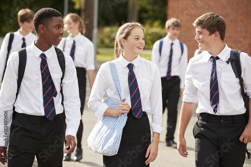 Group Of Teenage Students In Uniform Outside School Buildings photo