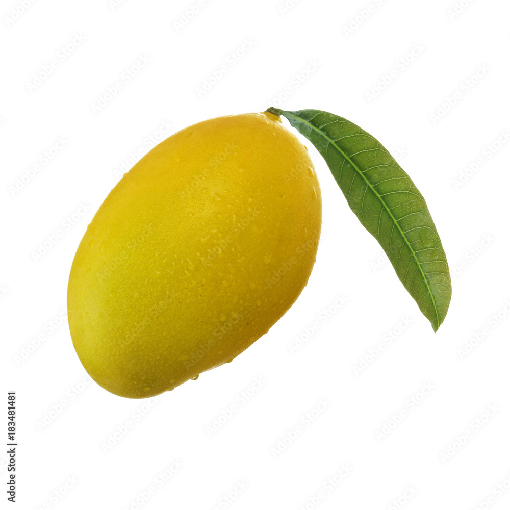 mango with leaf isolated
