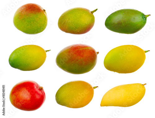 set of mangos isolated