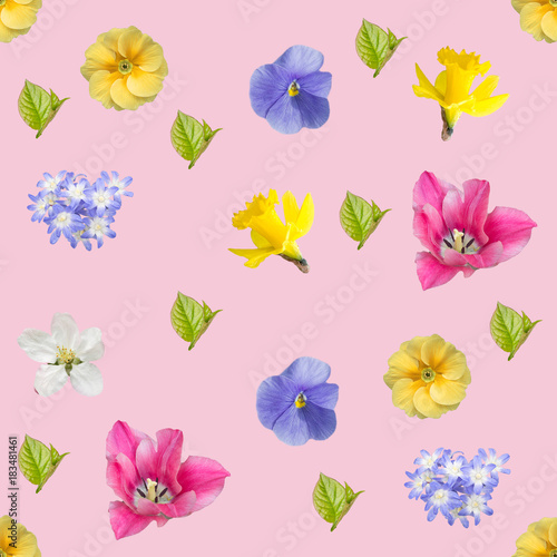 spring flowers seamless background pattern