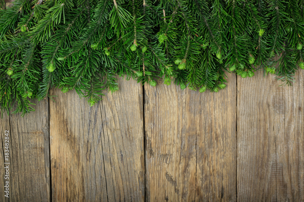 branches of fir on wooden background branches of fir on wooden background