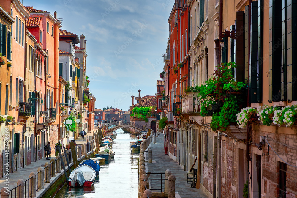 Venice - Grand Canal and Basilica Santa Maria della Salute