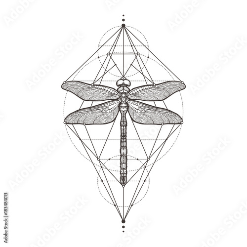 Black dragonfly Aeschna Viridls, isolated on white background. Tattoo sketch. Mystical symbols and insects. Alchemy, religion, occultism, spirituality, coloring books. Hand-drawn vector illustration.