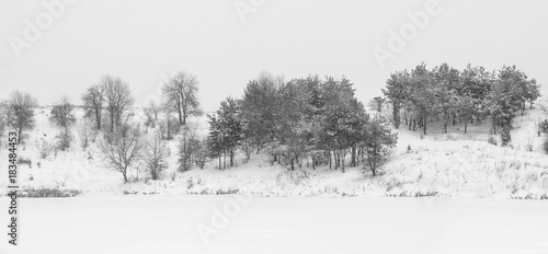Photo of winter trees near snowy field © Badunchik