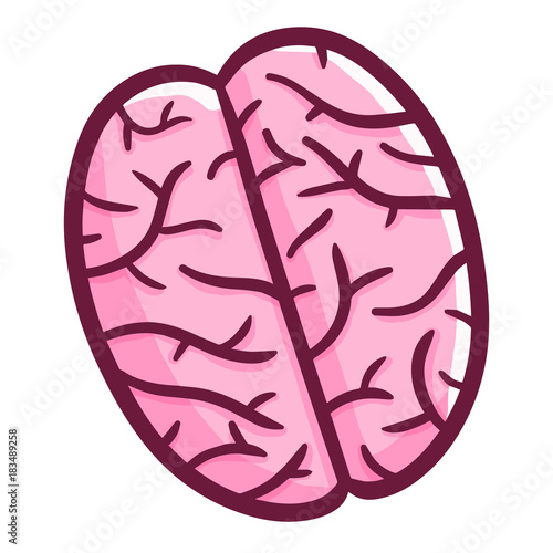 Funny and cute brain symbol from the top view - vector.